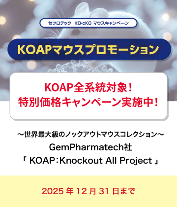 KOAPマウスプロモーション