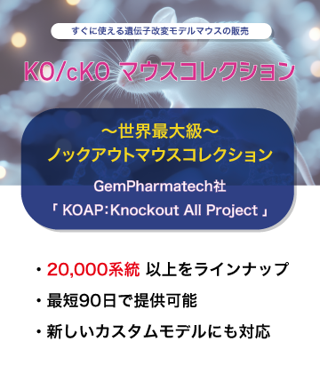 KOAPマウスプロモーション