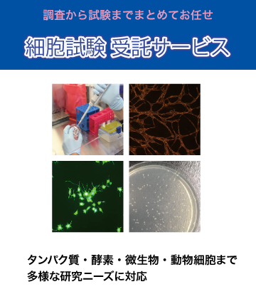 細胞試験