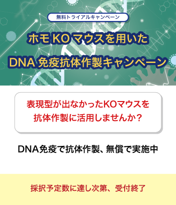 細胞工学・抗体作製キャンペーン