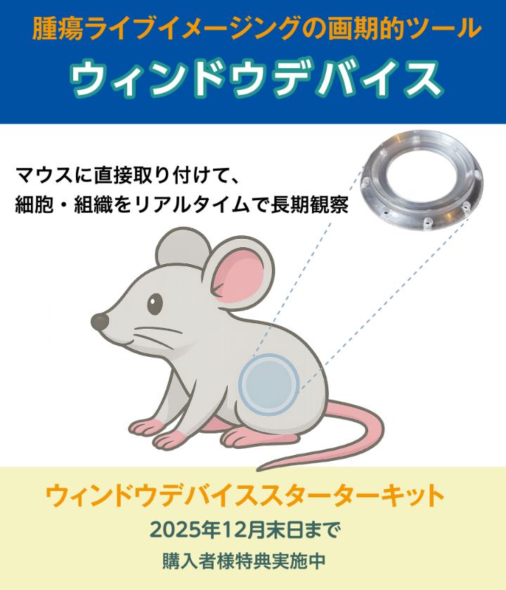 腫瘍ライブイメージングの画期的ツールウィンドウデバイス
