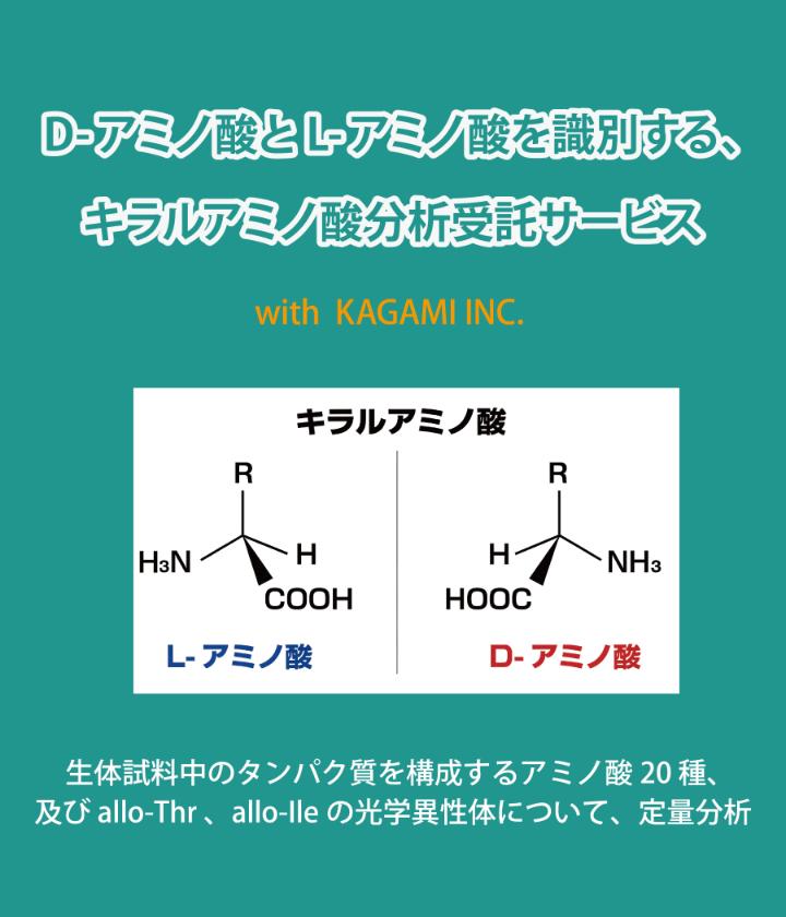 D-アミノ酸とL-アミノ酸を識別する、キラルアミノ酸分析受託サービス