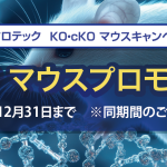 KOAP マウスプロモーション