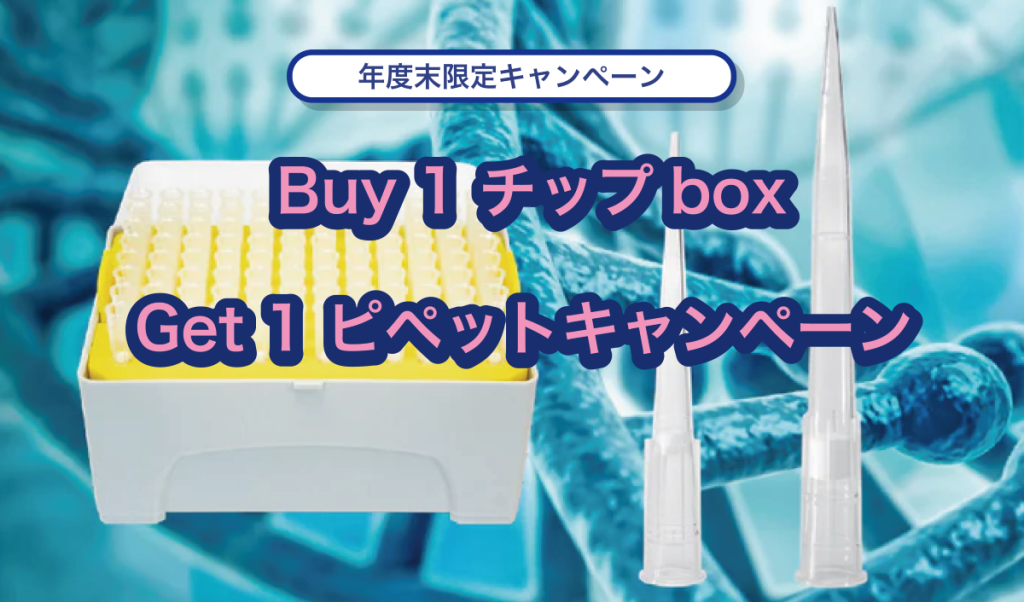 GVSキャンペーン