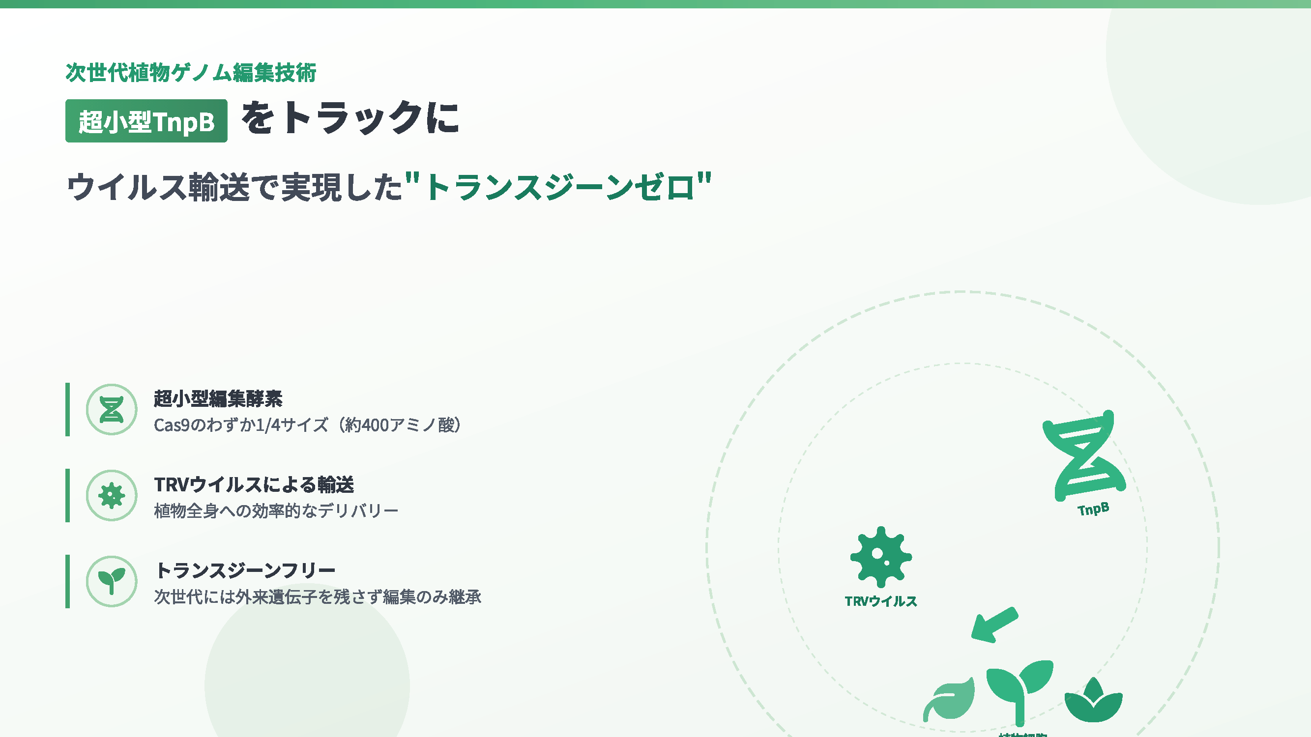 超小型TnpBをトラックに