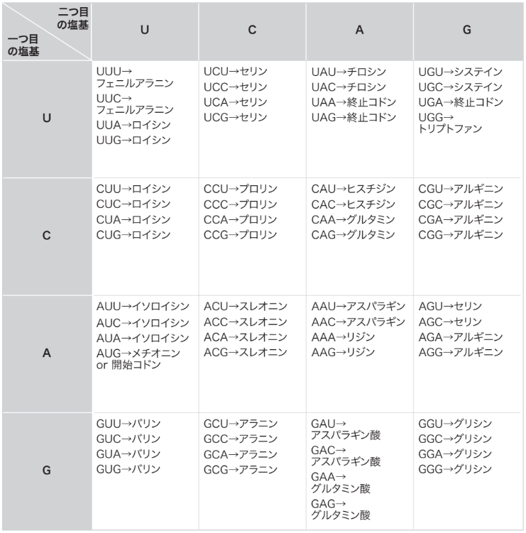 コドン表