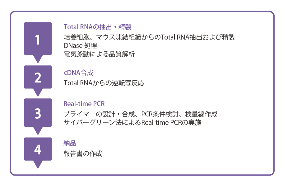 リアルタイムPCR工程表