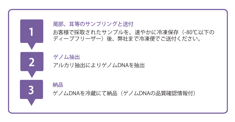 ゲノム抽出工程表