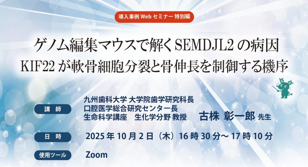 ゲノム編集マウスで解くSEMDJL2の病因――KIF22が軟骨細胞分裂と骨伸長を制御する機序