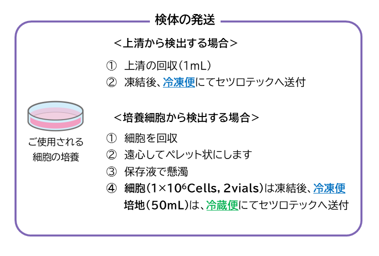 マイコプラズマ汚染