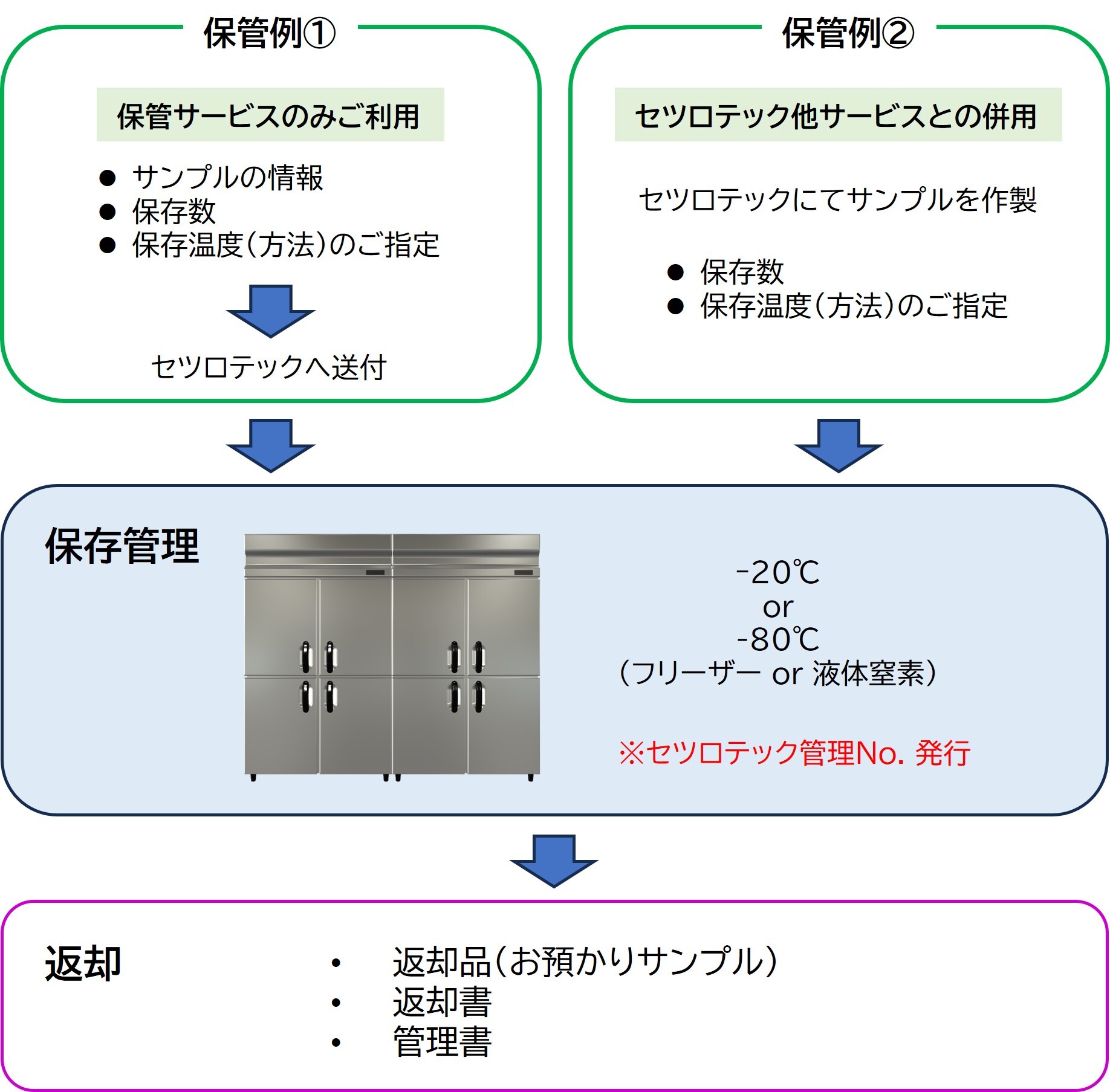 細胞、DNAの保存管理_図