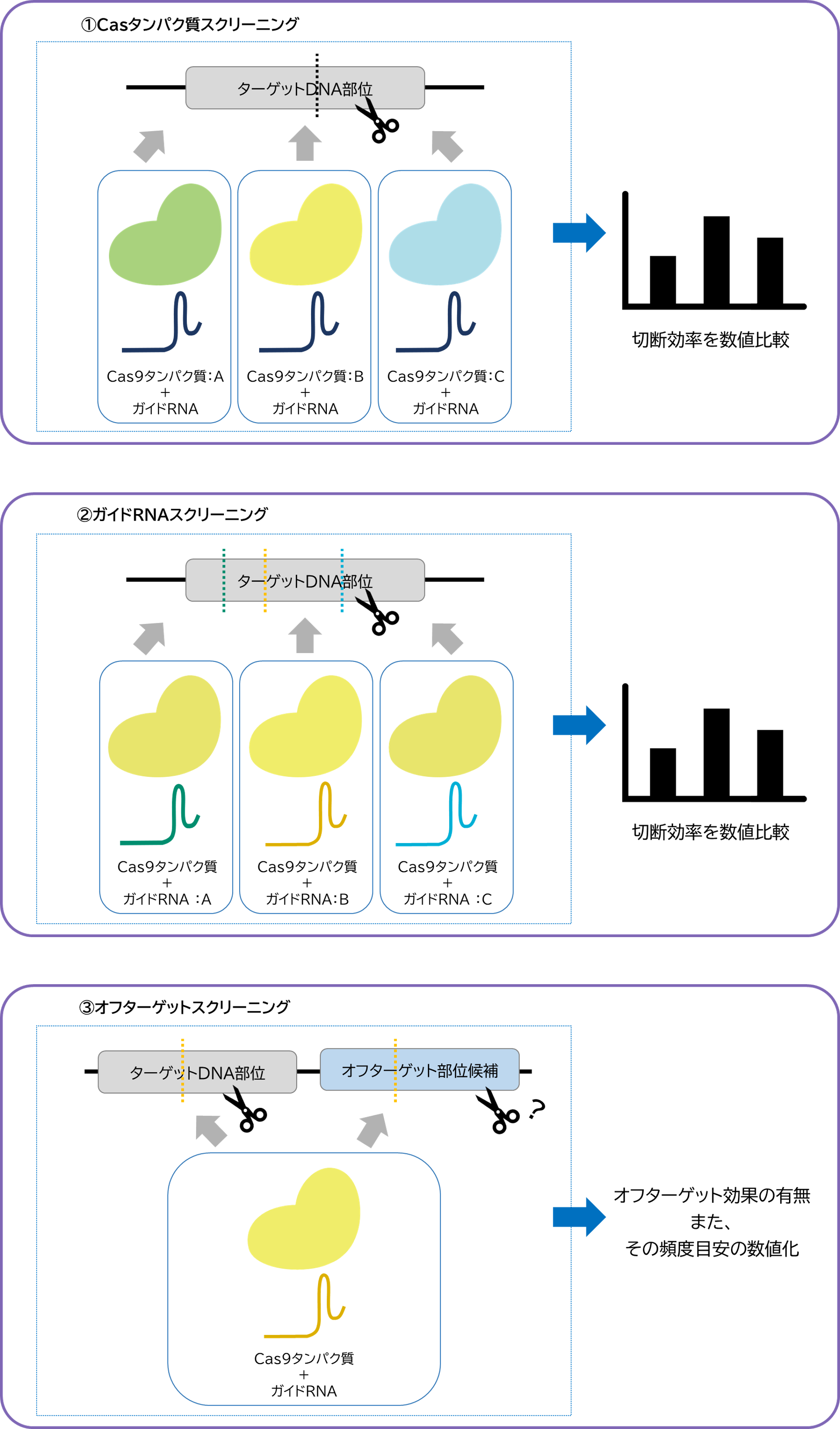 In vitro assay