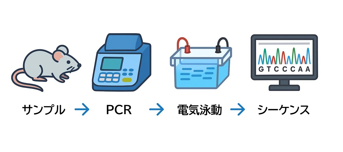 ジェノタイピング