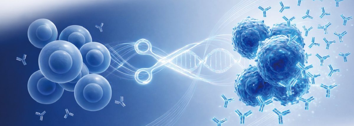 安定・高産生CHO細胞作製サービス