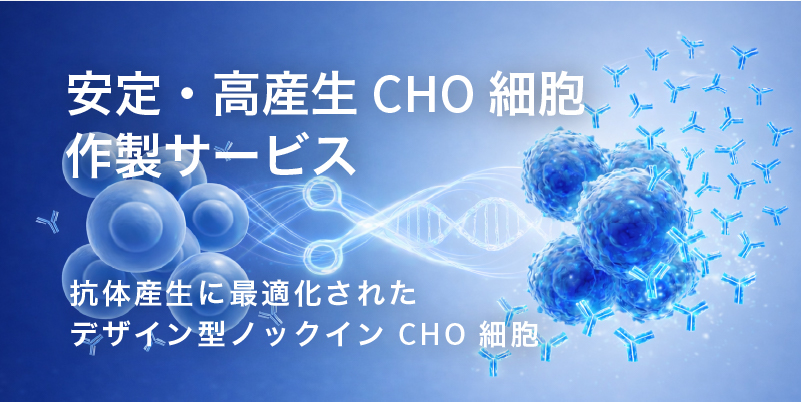 CHO細胞